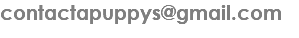 contactapuppys@gmail.com
